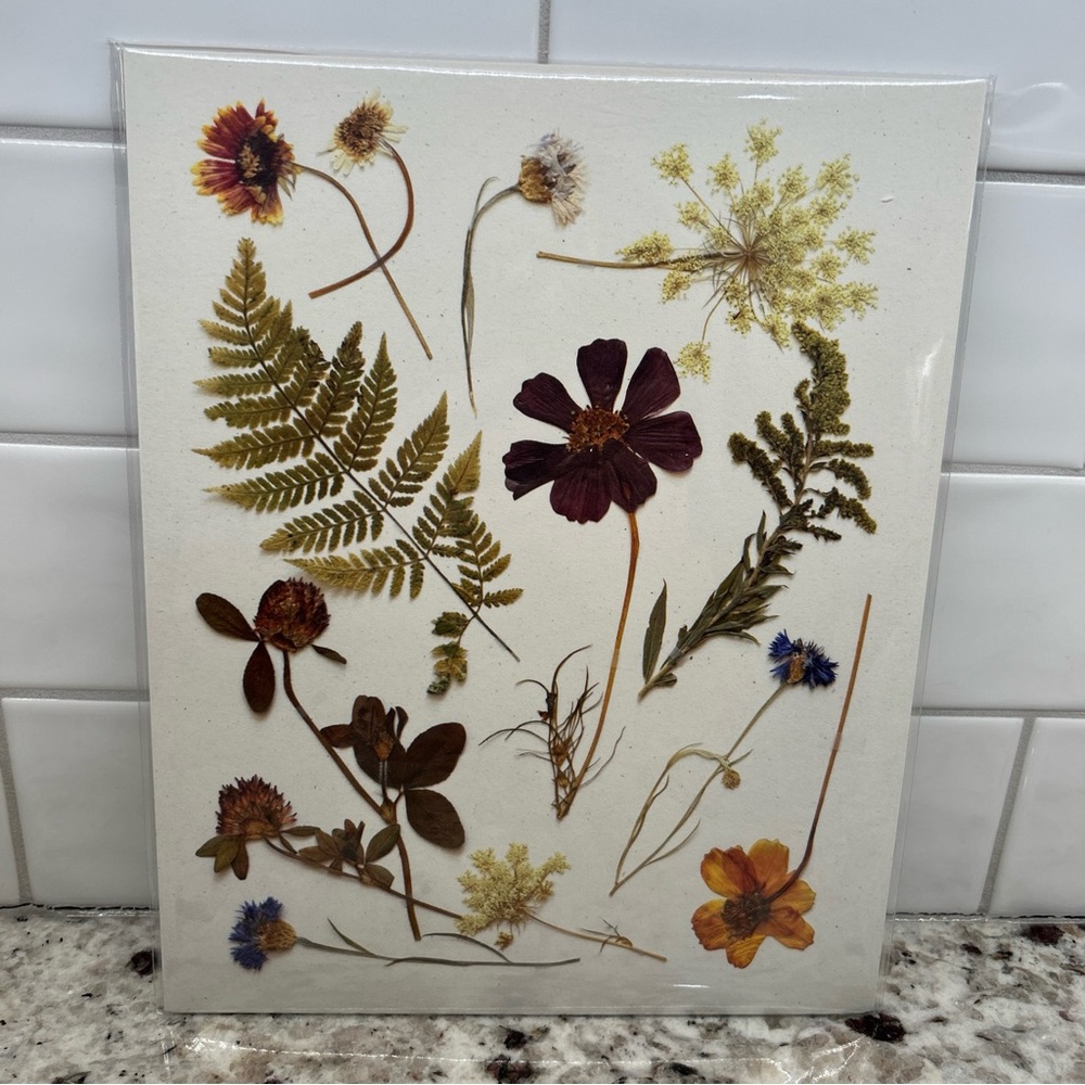 June & December Pressed Wildflowers Made In The USA 8 X 10 Northern Michigan